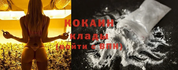 apvp Верхний Тагил