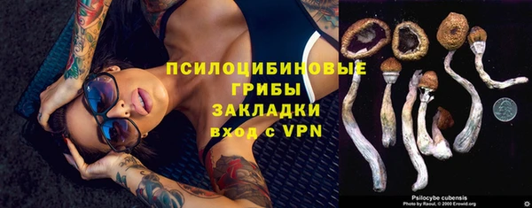 apvp Верхний Тагил