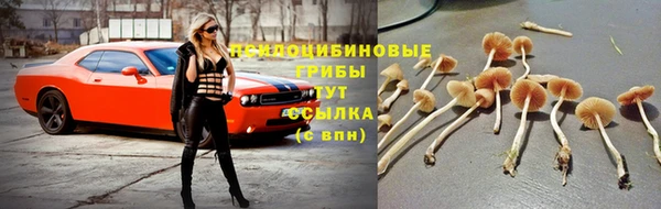 альфа пвп Верхнеуральск